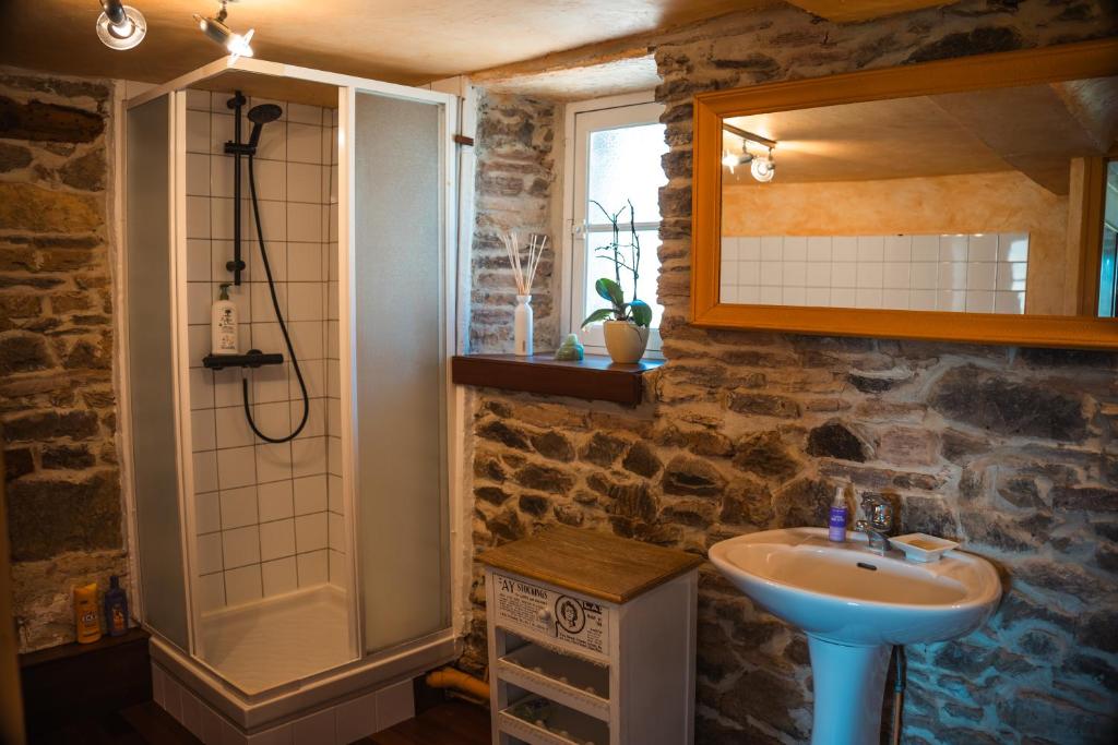 a bathroom with a sink and a shower at Lodge de La Vallée in Saint-Rémy