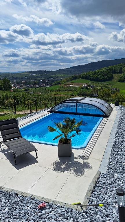 a pool with a chair and a palm tree next to it at Owocowe Wzgórze in Tęgoborze