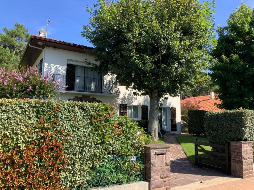 une maison avec un arbre devant une haie dans l'établissement Appartement à Capbreton en bordure de forêt, à Capbreton