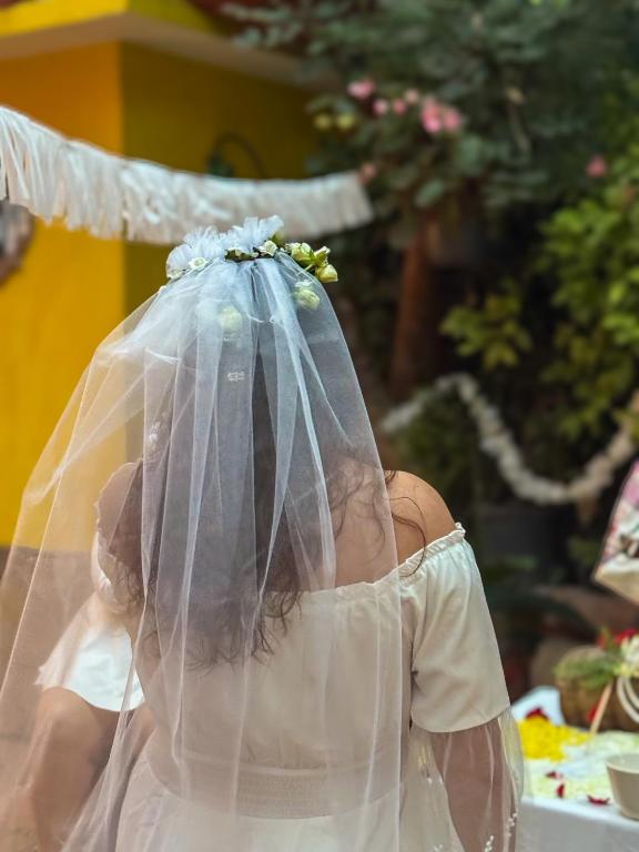 Hosté ubytování Posada Temazcal Santo Domingo