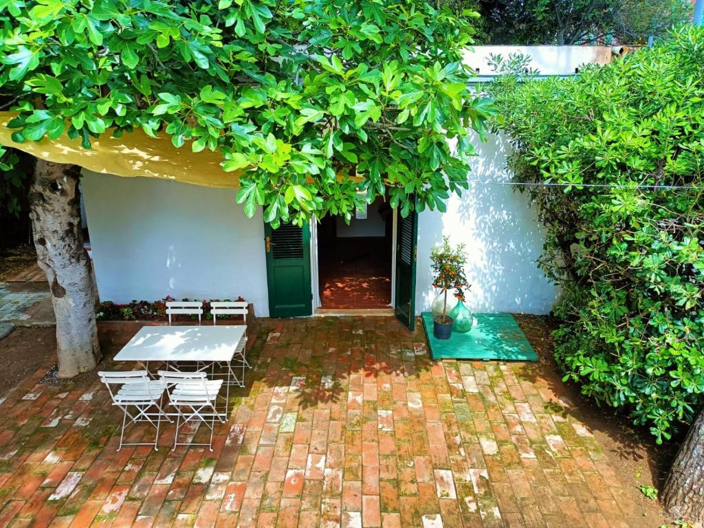 En have udenfor Palazzo Pitti