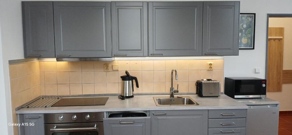 Kuchnia lub aneks kuchenny w obiekcie Apartmány Šrámek Stříbro