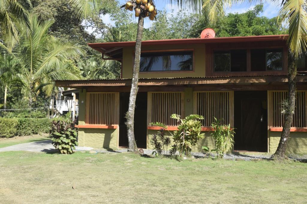 a house with a palm tree in front of it at Il Delfino Pavones in Pavones