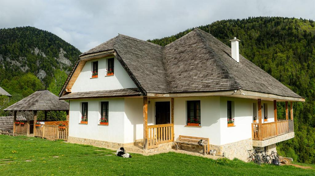Příroda nedaleko penzionu