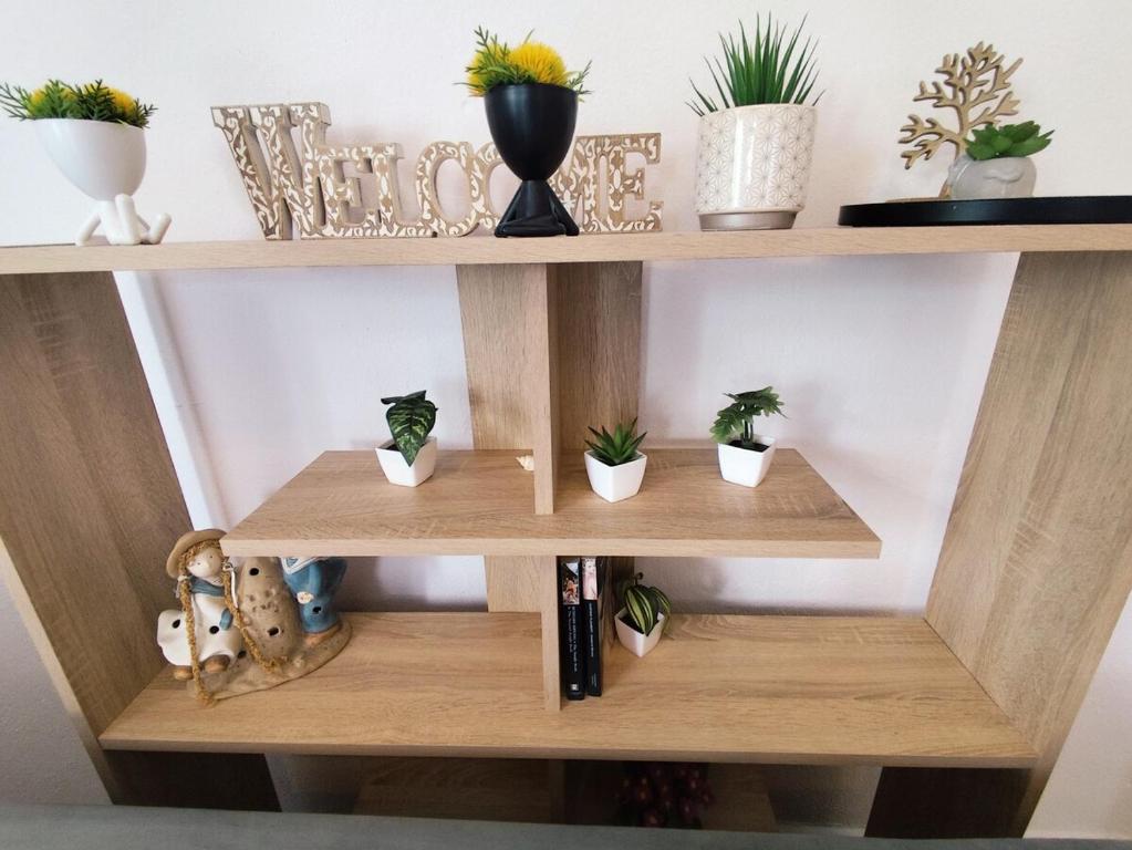 a wooden shelf with potted plants on it at Siviri Blue Horizon Apartment in Siviri