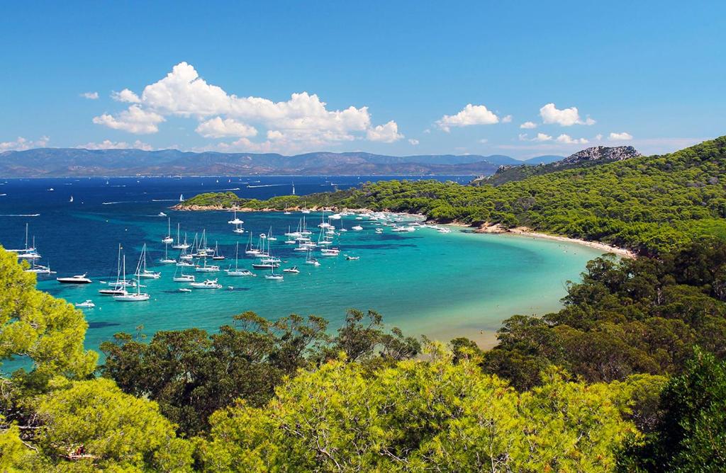 Příroda nedaleko apartmánu