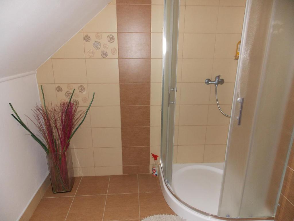 Koupelna v ubytování Apartment U Pavelků