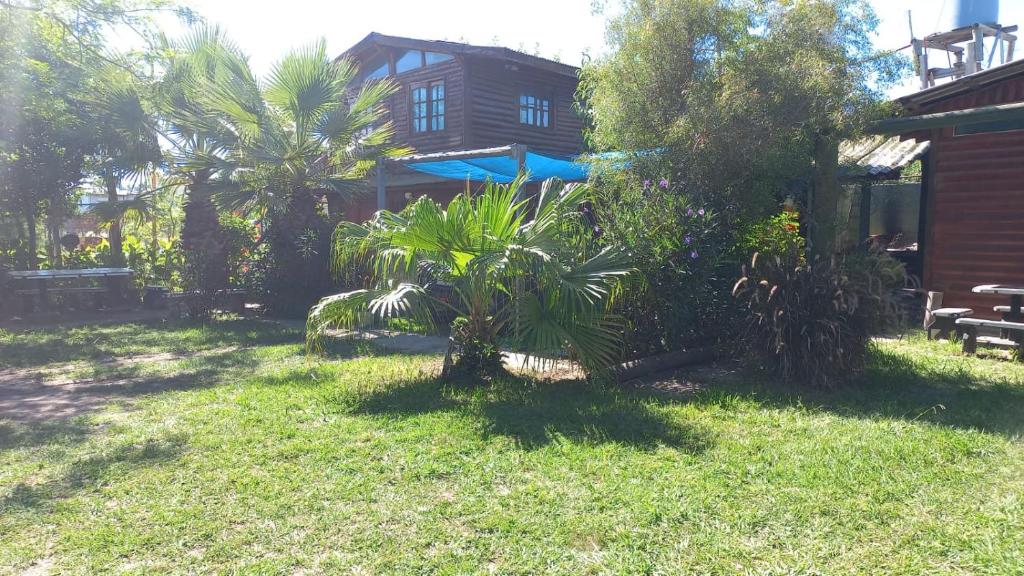 a yard with palm trees and a house at Cabañas los colibries in Gualeguaychú