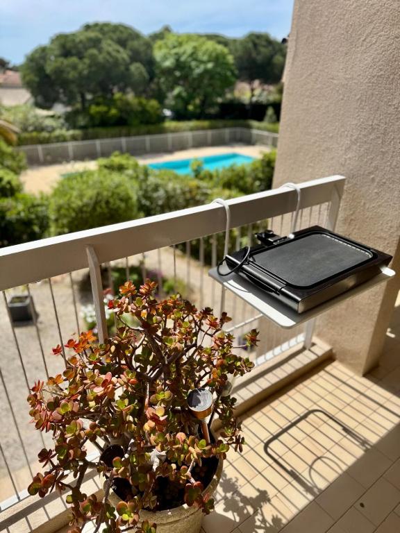 une plante en pot posée sur un balcon avec une table dans l'établissement Sun & Sea in Saint-Aygulf, à Fréjus