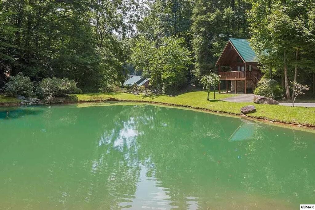 a large pool of green water in front of a house at Yeti Lodge by Avada Properties in Gatlinburg