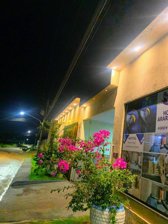 a store with pink flowers in front of a building at Hotel Arara Azul in Pontes e Lacerda
