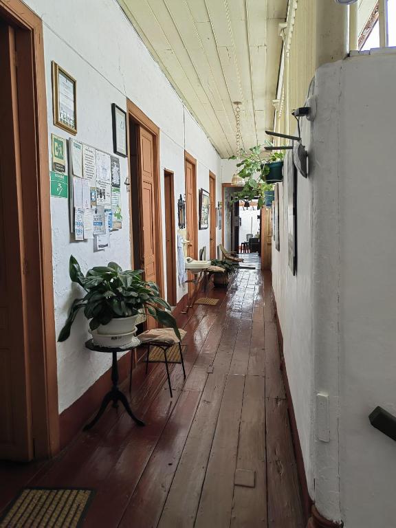 Fotografie z fotogalerie ubytování Hostal Frailejon Sonsón v destinaci Sonsón