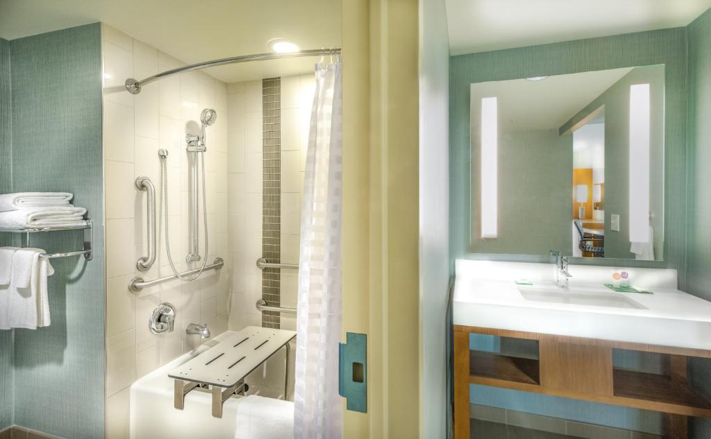 Hyatt Place Washington D.C./National Mall - King Room With Sofa Bed And Roll-In Shower - Disability Access