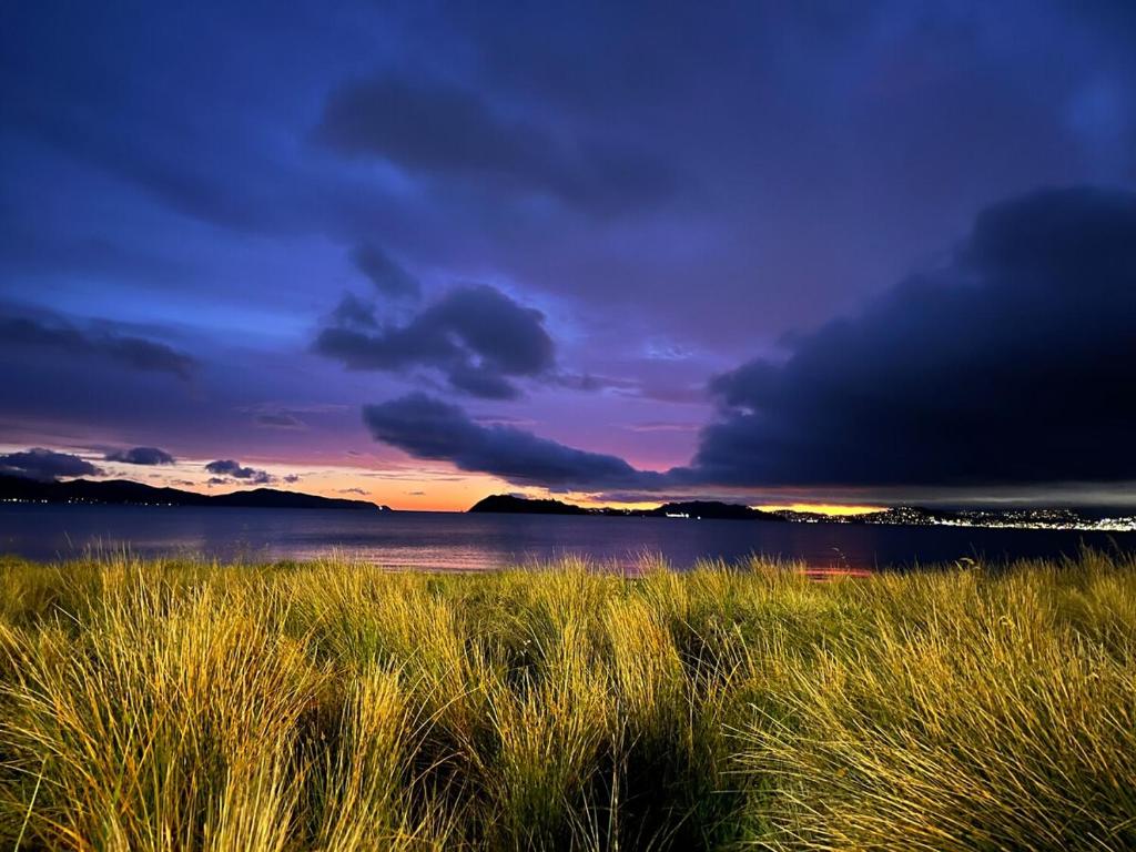 MKM Villa - Cozy House in Central Lower Hutt - Resim 16