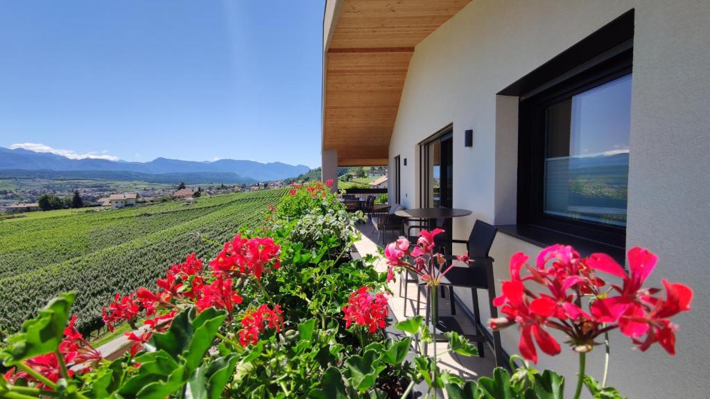 a balcony with red flowers and a view of a vineyard at Highlight Apartments in Appiano sulla Strada del Vino