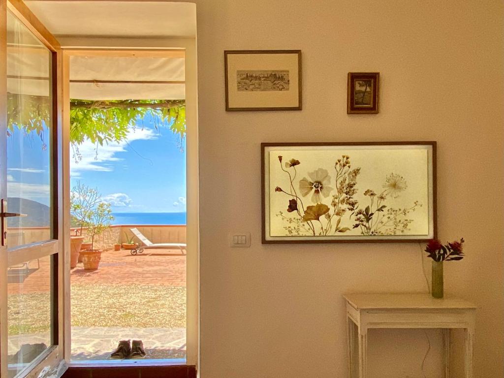 Táj az apartman közelében