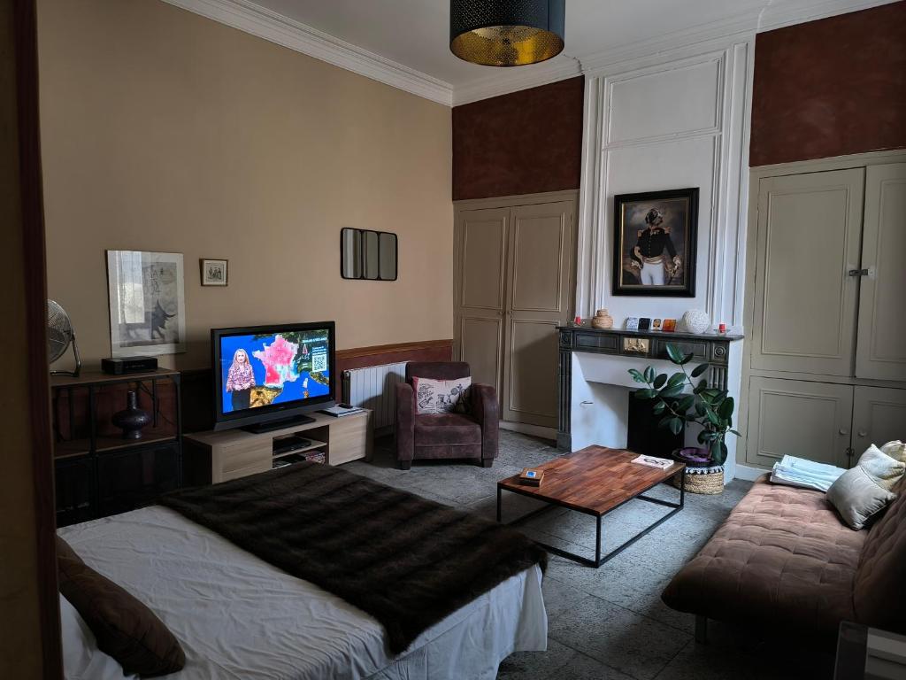TV a/nebo společenská místnost v ubytování Appartement centre ville NIMES
