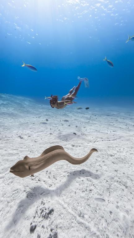 Hosté ubytování Pearl Dhigurah