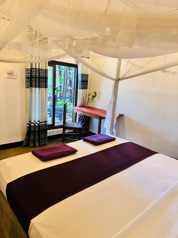 Blue Mountains View - 8