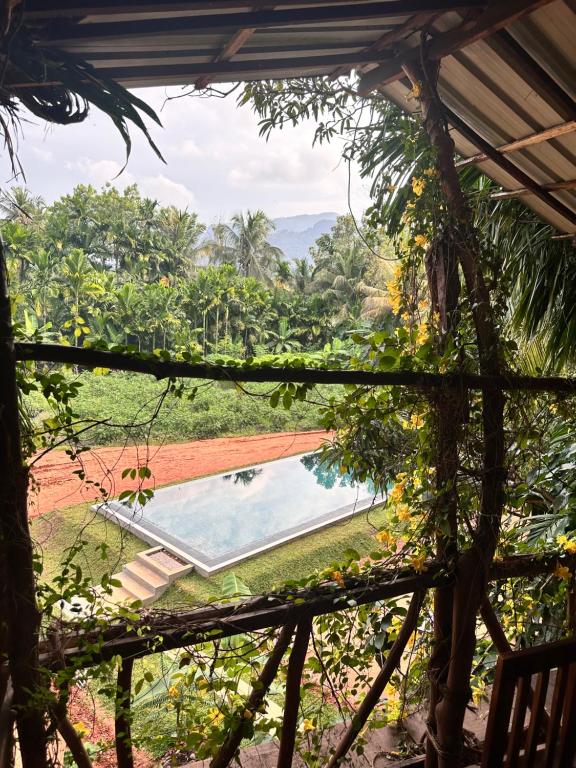 Blue Mountains View - 4