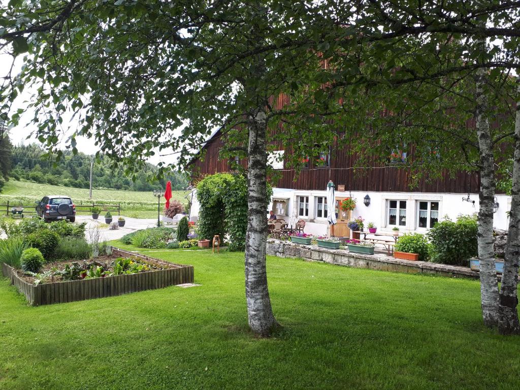 a tree in a yard with a house at La maison d'antan in La Longeville