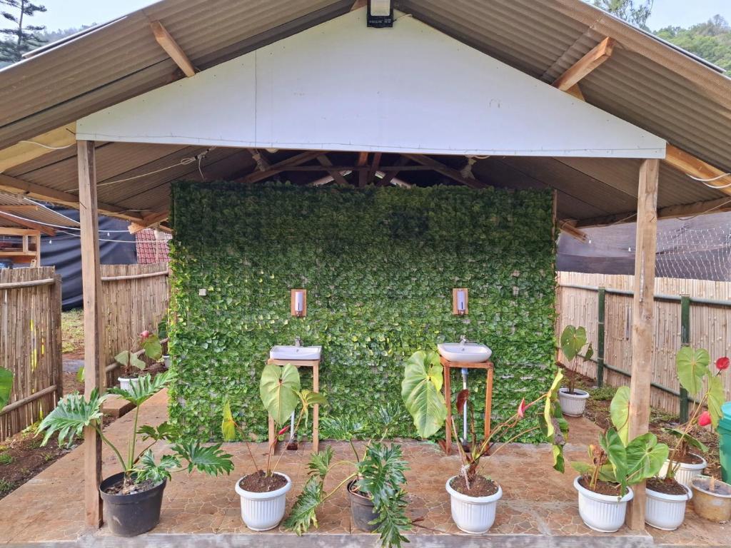 Zahrada ubytování Ciwidey Jungle Villa