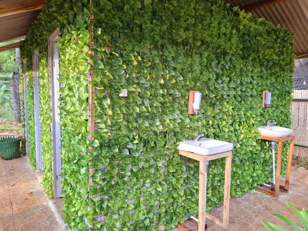 Zahrada ubytování Ciwidey Jungle Villa