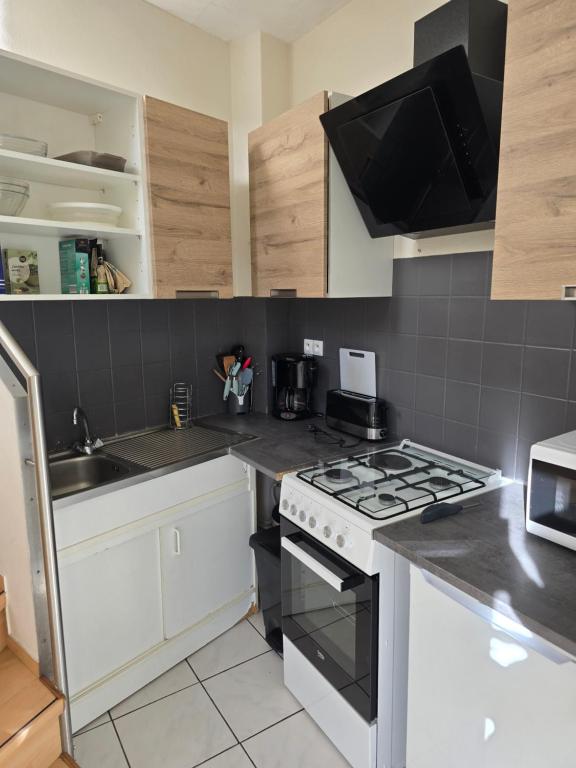 Il comprend une cuisine équipée d'une cuisinière. four supérieur à côté d'un évier dans l'établissement Appartement rez de jardin avec terrasse privative, à La Bourboule