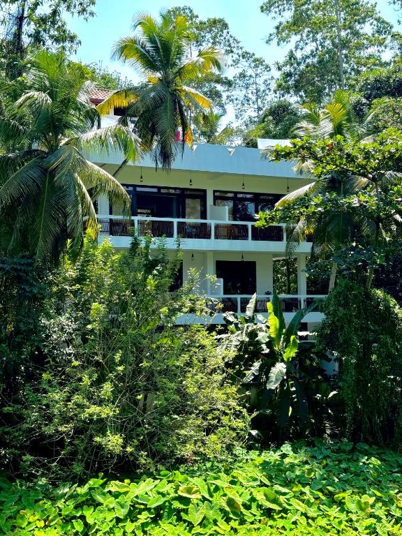 Zahrada ubytování CoCoSuRf House, Luxury among palms