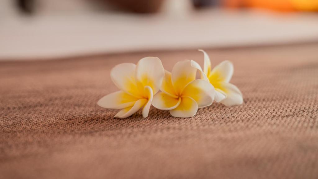 Fotografie z fotogalerie ubytování Gilibong Bungalows v destinaci Gili Trawangan