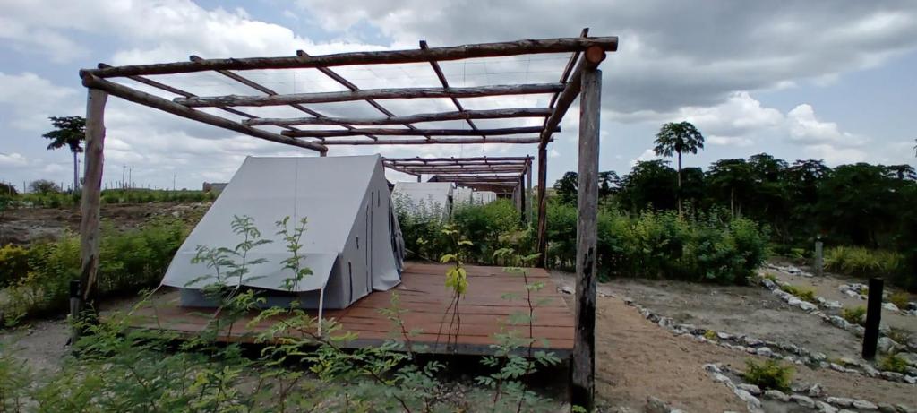 Fazenda Kizonga