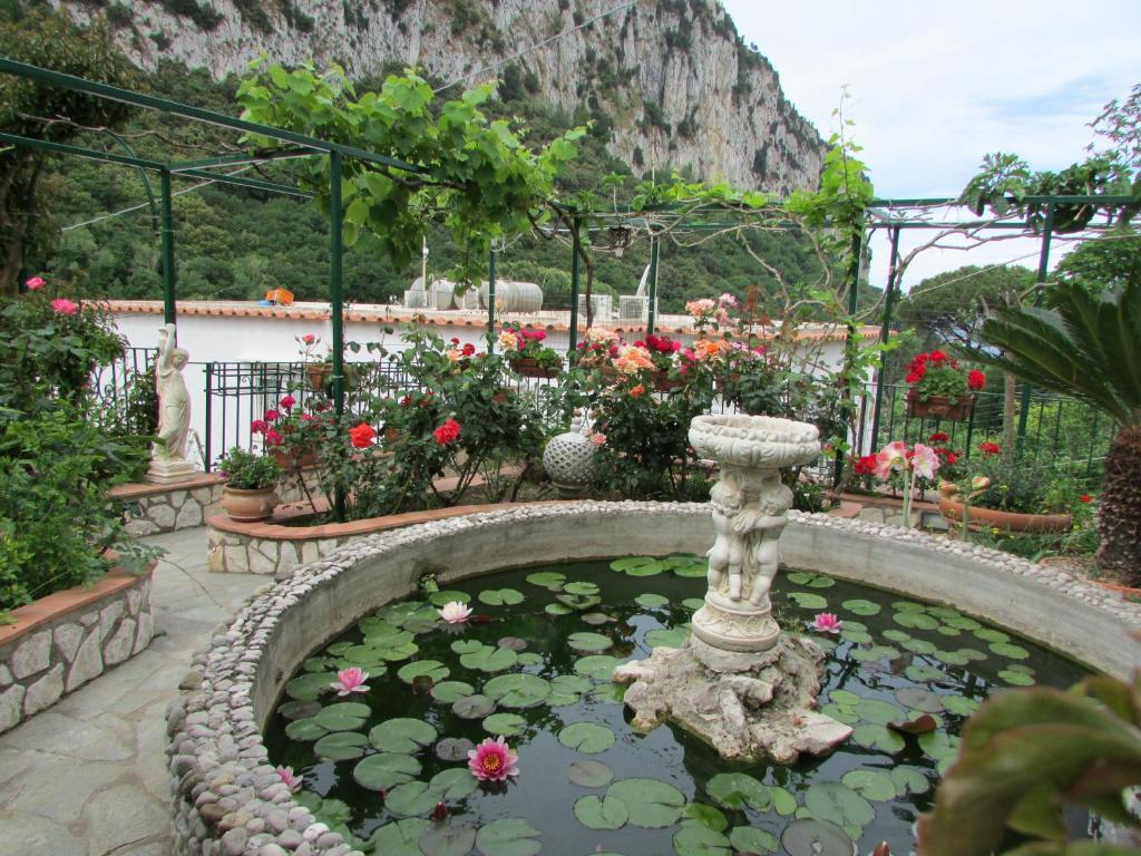 a garden with a pond with flowers and a fountain at B&B Palazzo a Mare in Capri