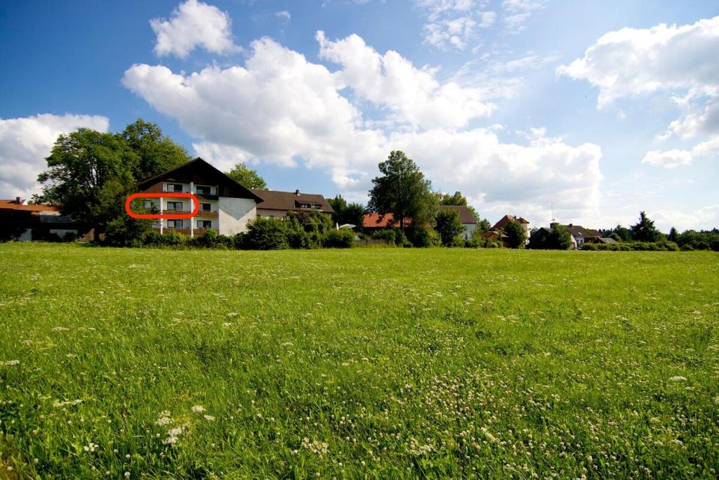 a field of green grass with a house in the background at Geräumige Ferienwohnung inmitten der Natur in Bischofsgrün