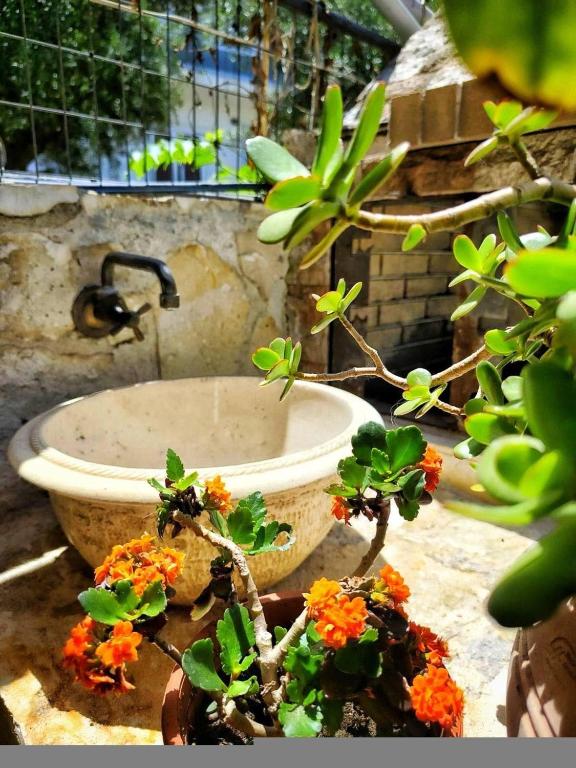 Zahrada ubytování La Casa di Teta by superhosthub