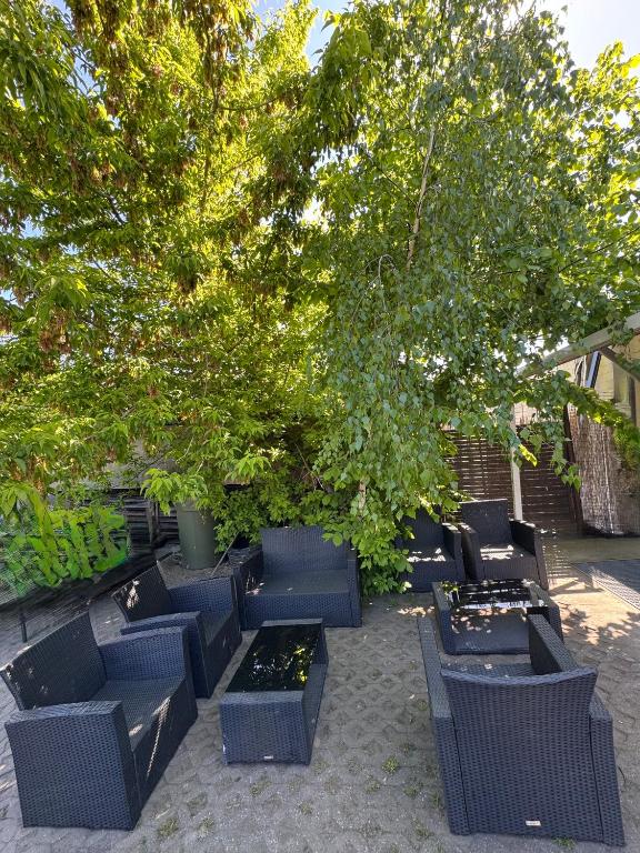 Zahrada ubytování PREMIUM Hostel