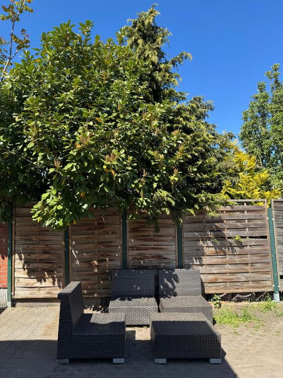 Zahrada ubytování PREMIUM Hostel