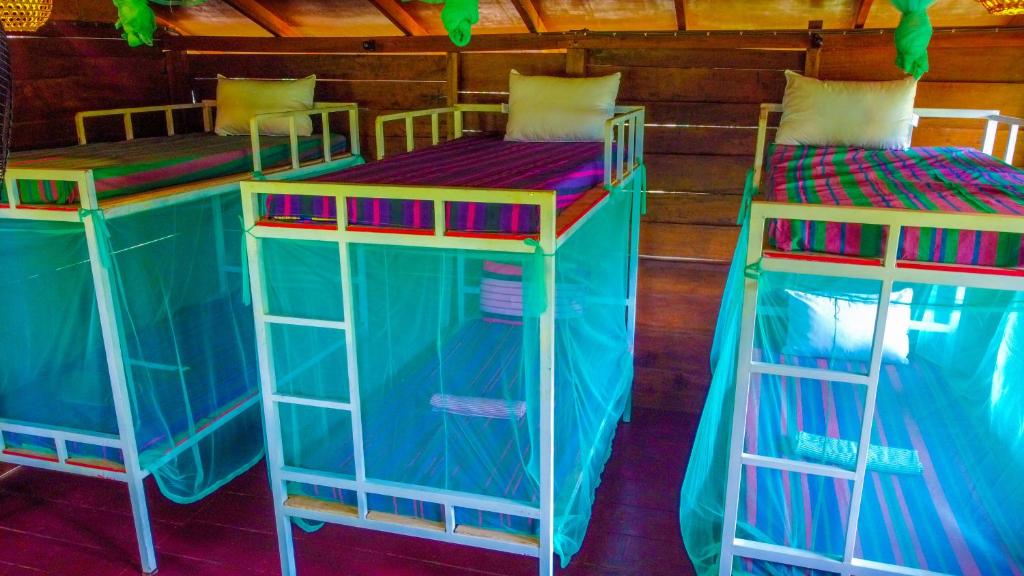 Jungle Host Hostel And Tree House - 15