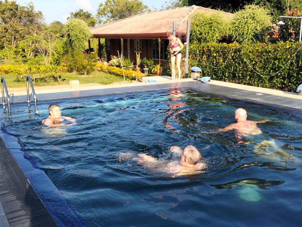 Bazén v ubytování Tiara Elephant Lodge nebo v jeho okolí