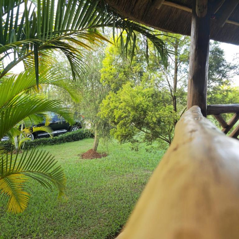 African Roots Guesthouse Entebbe tesisinin dışında bir bahçe