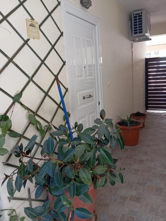 Fotografie z fotogalerie ubytování Garden studio v destinaci Piraeus