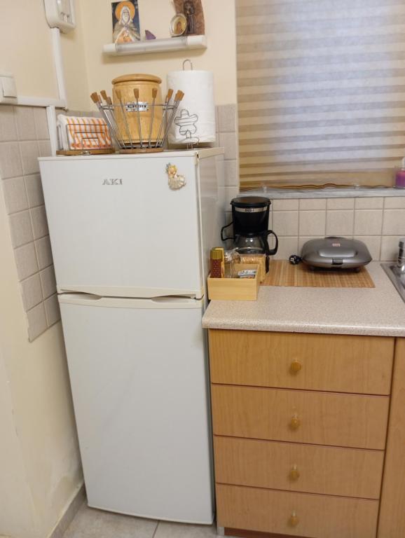 Kuchyň nebo kuchyňský kout v ubytování Garden studio
