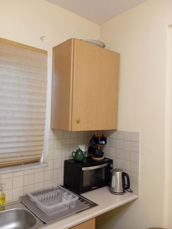 Kuchyň nebo kuchyňský kout v ubytování Garden studio