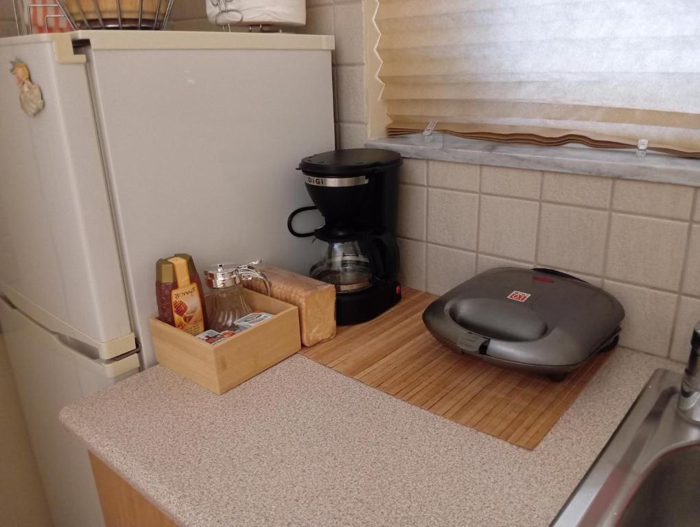 Kuchyň nebo kuchyňský kout v ubytování Garden studio