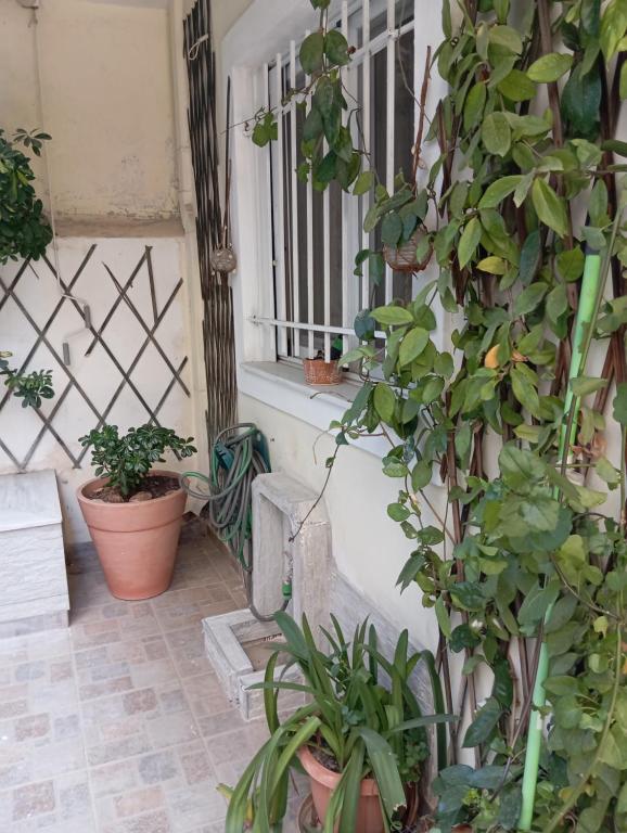 Zahrada ubytování Garden studio
