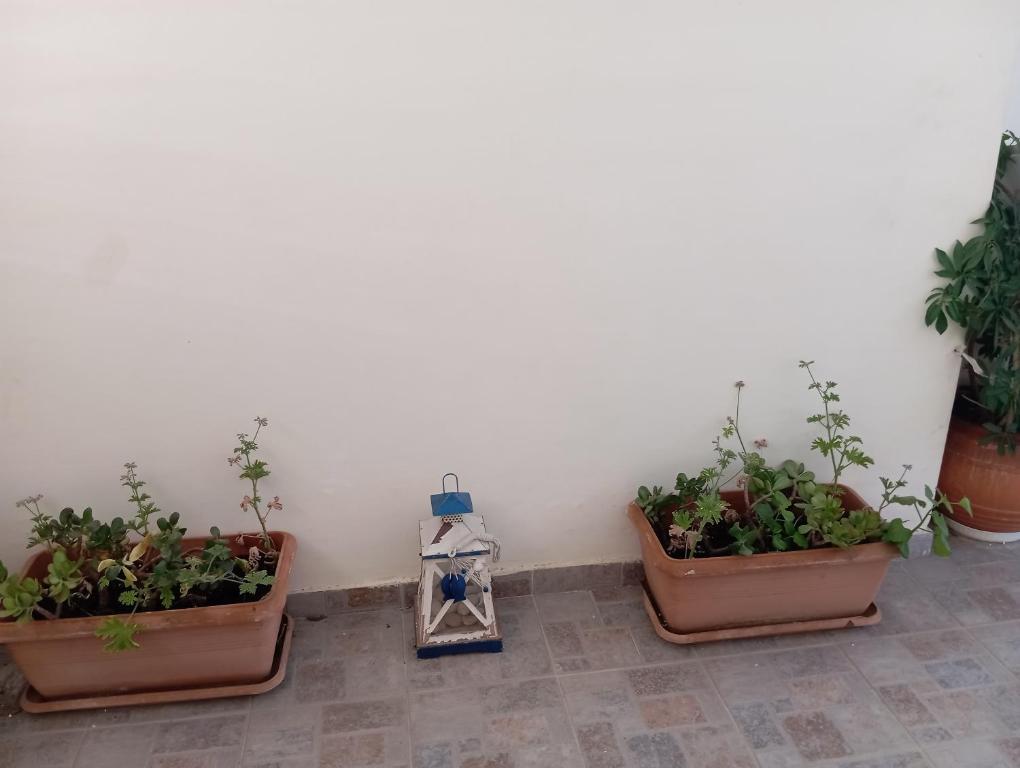 Fotografie z fotogalerie ubytování Garden studio v destinaci Piraeus