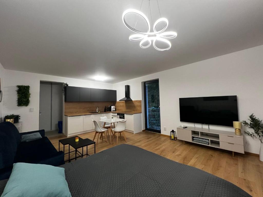 TV a/nebo společenská místnost v ubytování Apartnám MONY