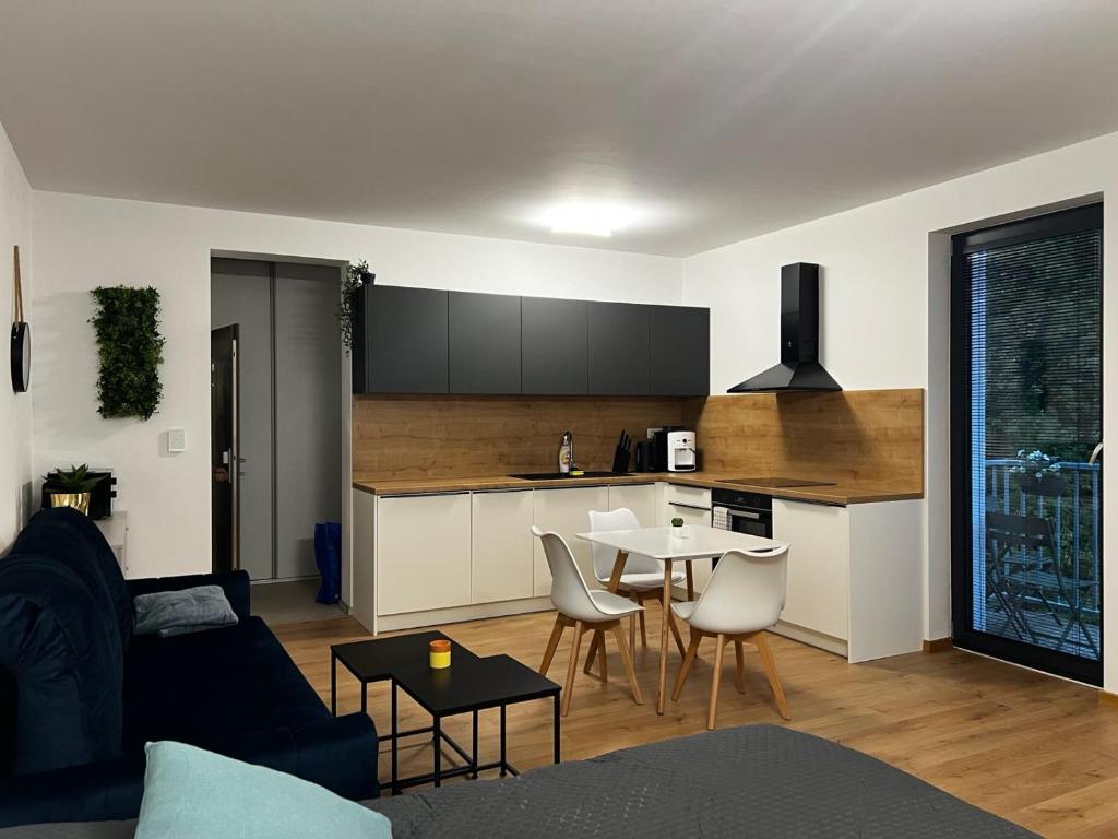 Kuchyň nebo kuchyňský kout v ubytování Apartnám MONY