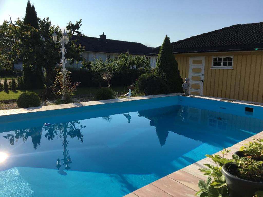 a swimming pool with blue water in a yard at Just Like Home Bed & Spa Porsgrunn in Porsgrunn