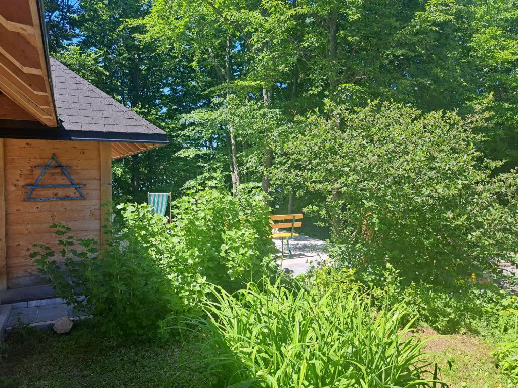 Zahrada ubytování EcoFit Povlen