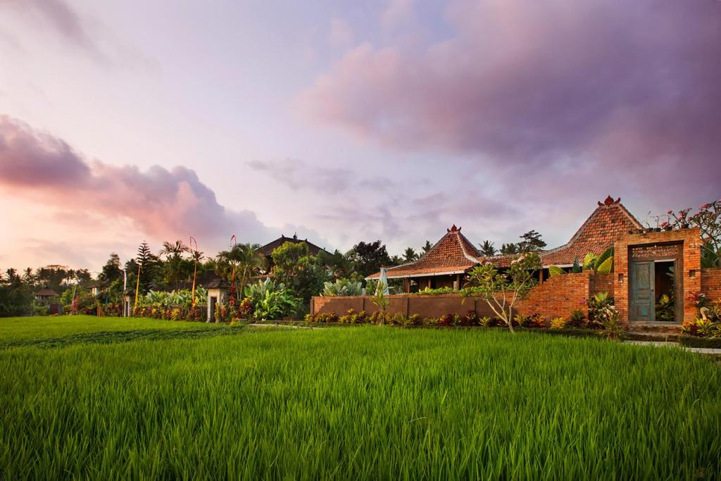 Zahrada ubytování Naya Ubud